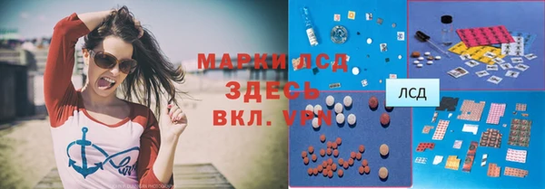 соль ск Ельня
