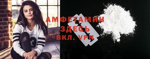 соль ск Ельня