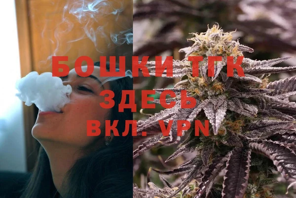 соль ск Ельня