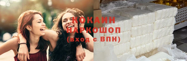соль ск Ельня