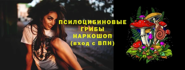 mdpv Елизово