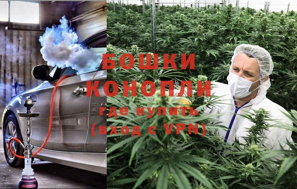 mdpv Елизово