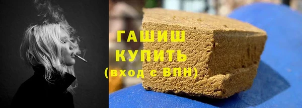 соль ск Ельня