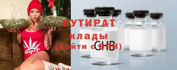 соль ск Ельня