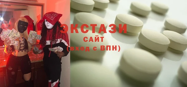 соль ск Ельня