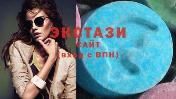 соль ск Ельня
