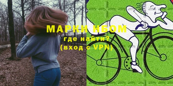 соль ск Ельня
