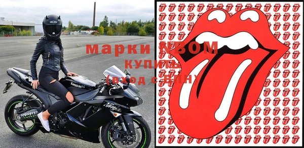 соль ск Ельня