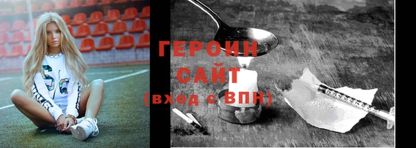 соль ск Ельня