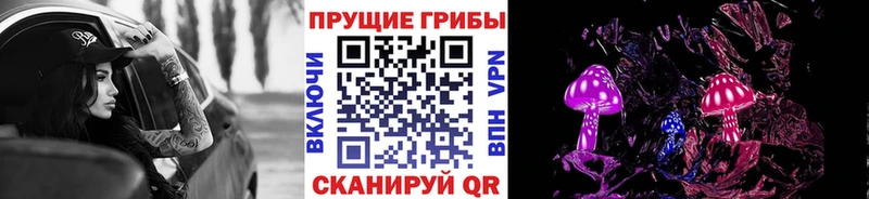 hydra онион  Ставрополь  Галлюциногенные грибы Cubensis 