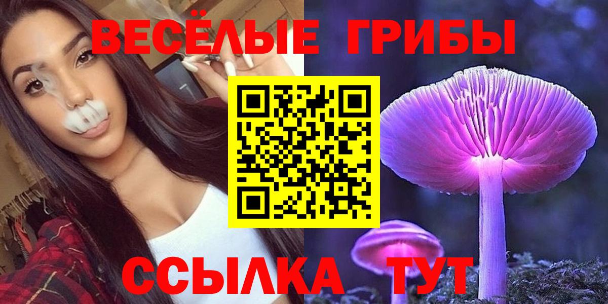 Галлюциногенные грибы мицелий  Вход с VPN  Ставрополь 
