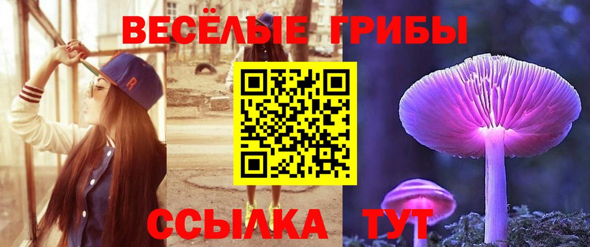Галлюциногенные грибы GOLDEN TEACHER Ставрополь